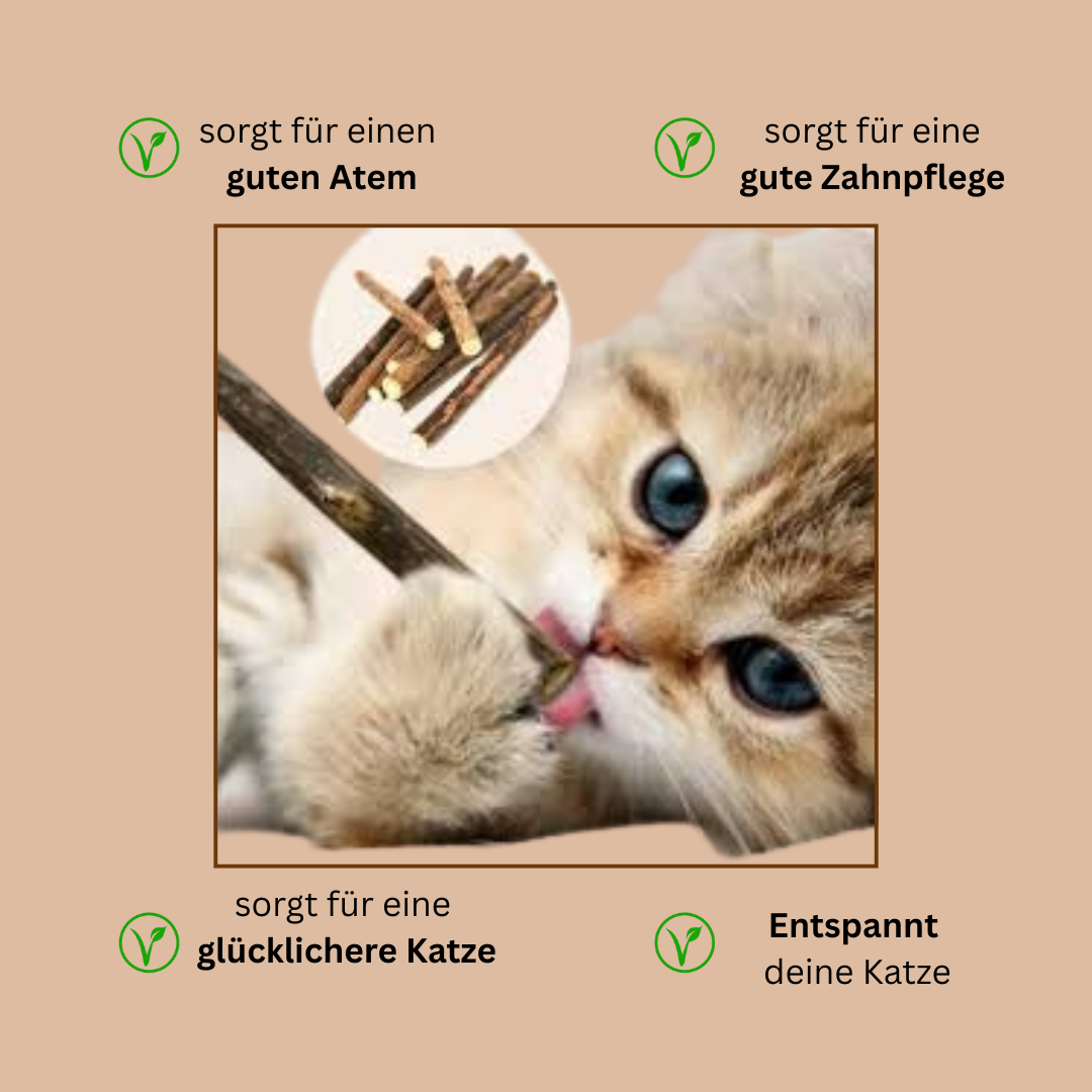 FellLiebhaber™ zahnreinigende Matatabi Sticks